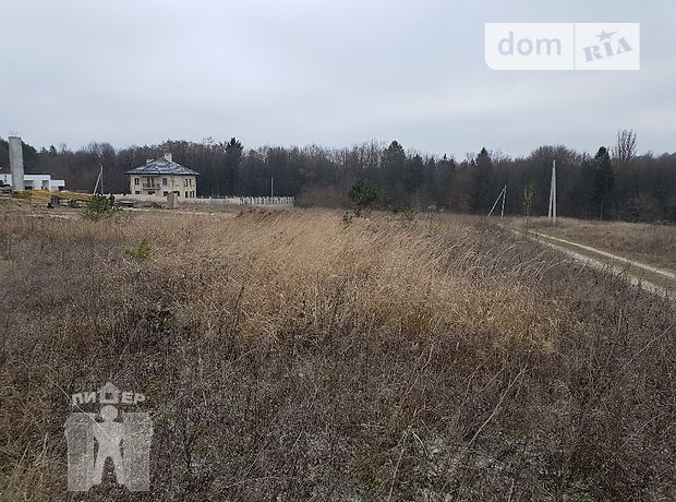 Новини Хмельницького - фото з Ринок землі відкритий: що продають біля Хмельницького та за скільки (ІНФОГРАФІКА)