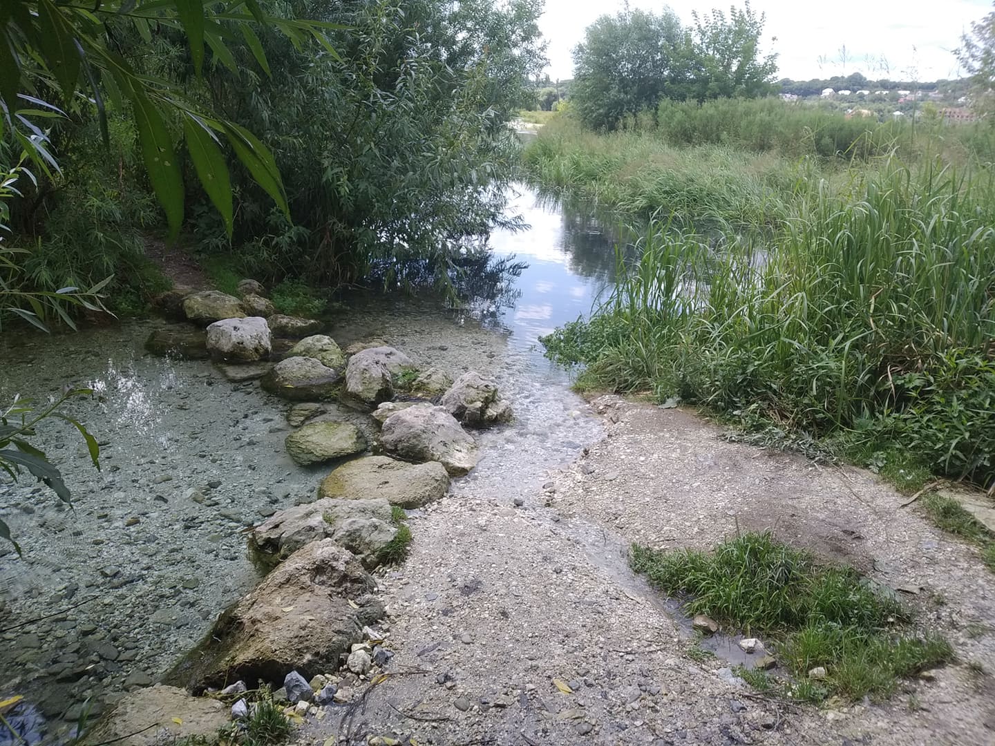 Новини Тернополя - фото з Чорна річка, мертва риба і сморід: біля «райського джерела» прорив каналізації, усі нечистоти у воді Немає опису.