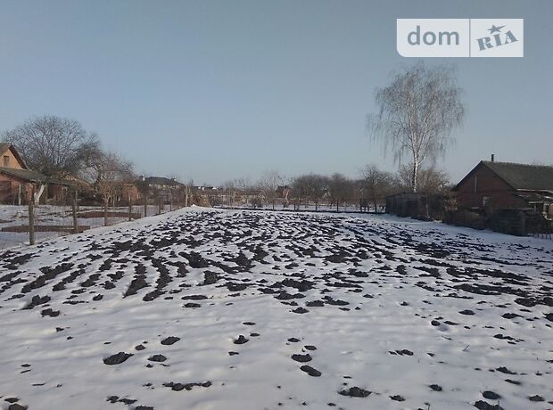 Новини Хмельницького - фото з Ринок землі відкритий: що продають біля Хмельницького та за скільки (ІНФОГРАФІКА)