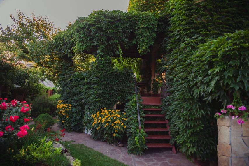 Новини Вінниці - фото з «Влітку наш будинок схожий на вулик». Як вінничанка перетворила свій дім на локацію для фотосесій