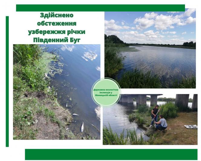 Новини Вінниці - фото з Виявили гибель риби у Південному Бузі. Екологи почали перевірку