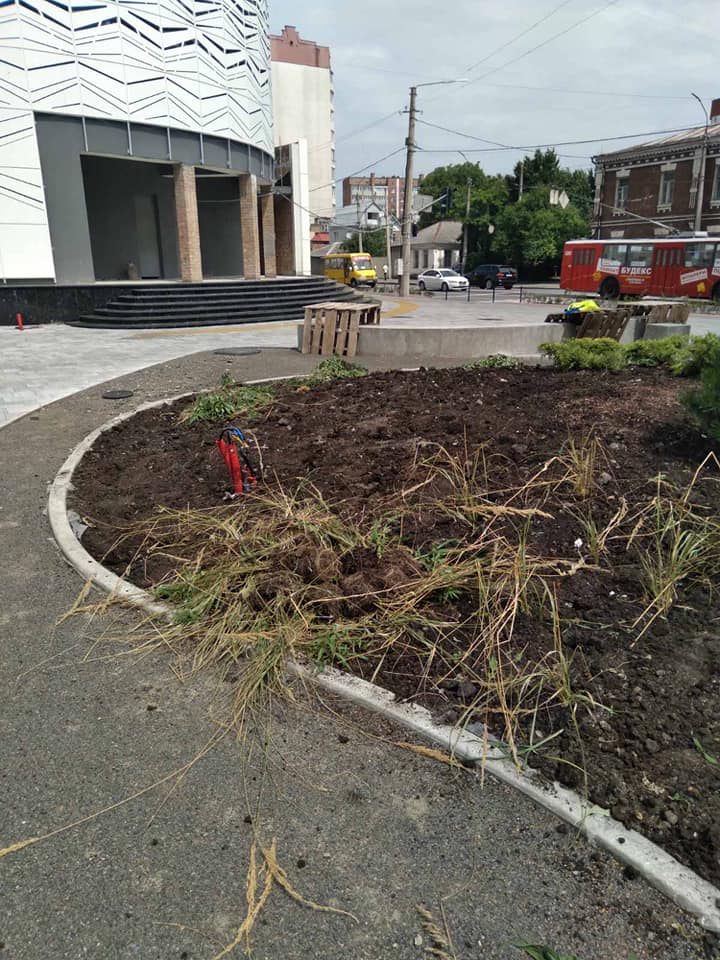 Новини Хмельницького - фото з На Свободи хмельничанка повидирала висаджені комунальниками зелені насадження