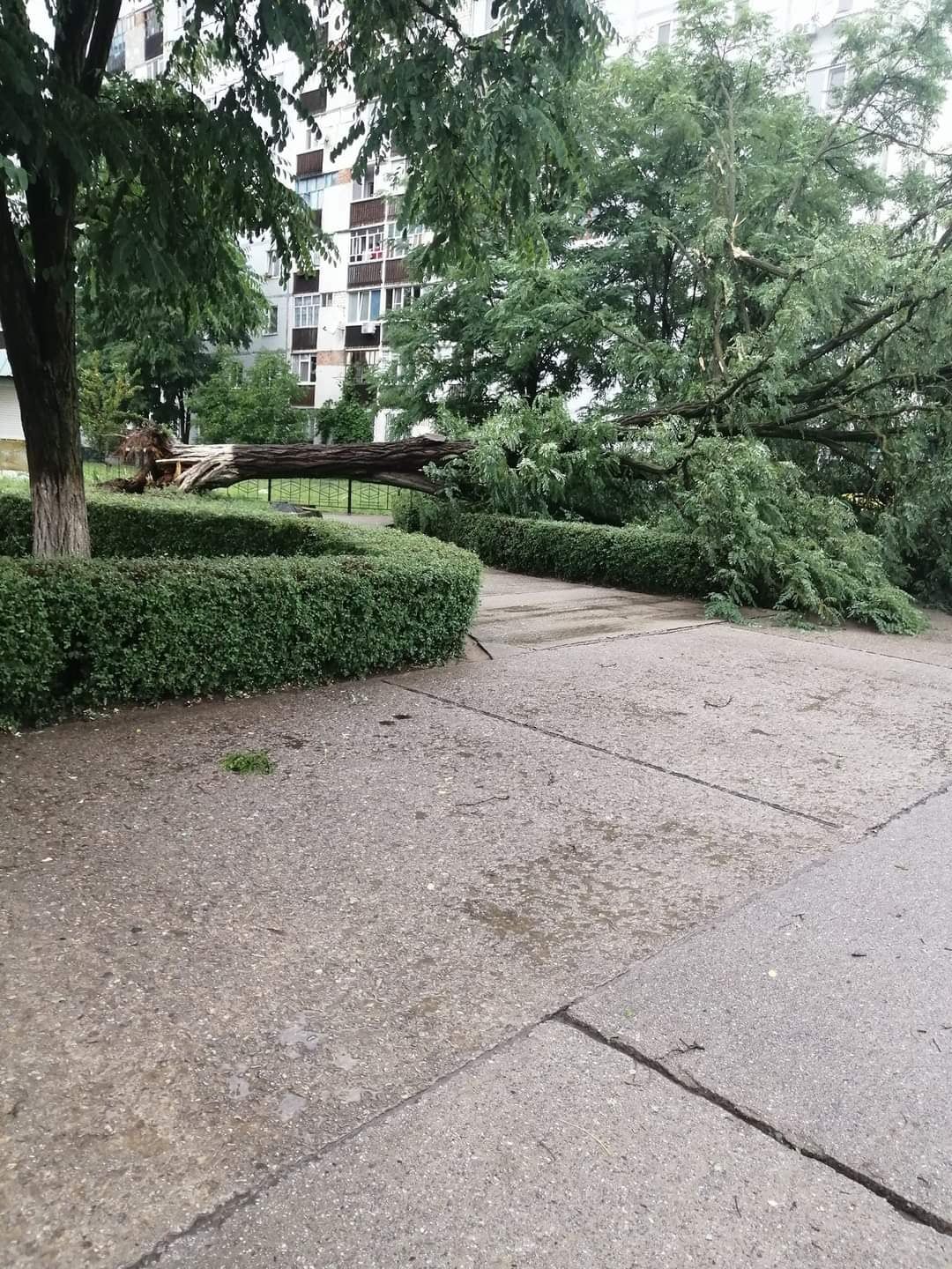 Новини Хмельницького - фото з Повалені дерева та розмитий пляж: негода наробила лиха у Нетішині (ФОТО)
