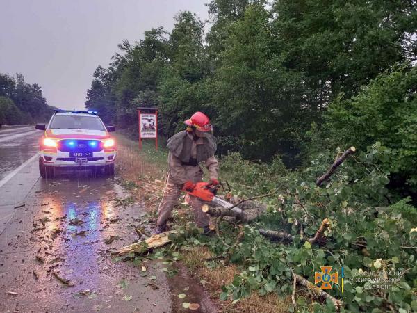 Новини Житомира - фото з У північних районах області рятувальники прибирали повалені негодою дерева d2.jpg