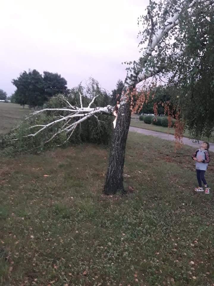 Новини Хмельницького - фото з Повалені дерева та розмитий пляж: негода наробила лиха у Нетішині (ФОТО)