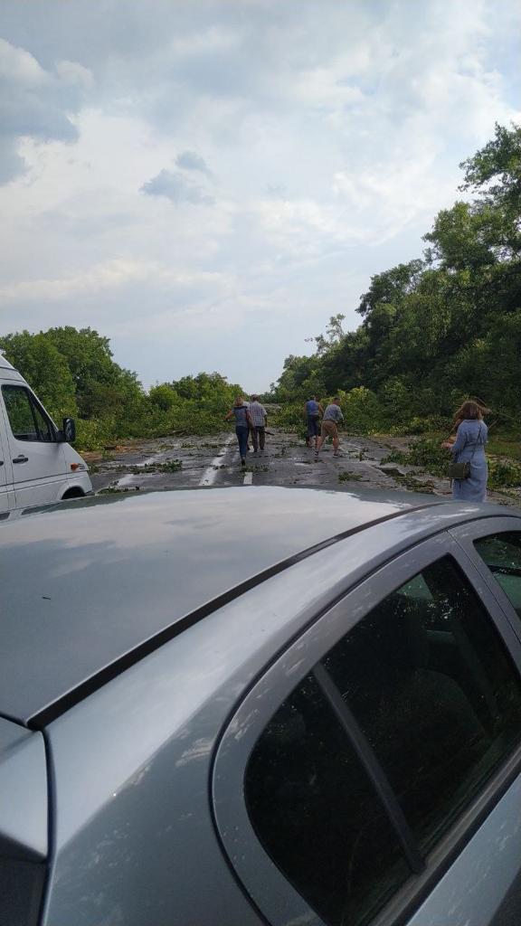 Новини Тернополя - фото з Зірвані дахи та повалені дерева: негода наробила біди на Тернопільщині (ФОТО. ВІДЕО)