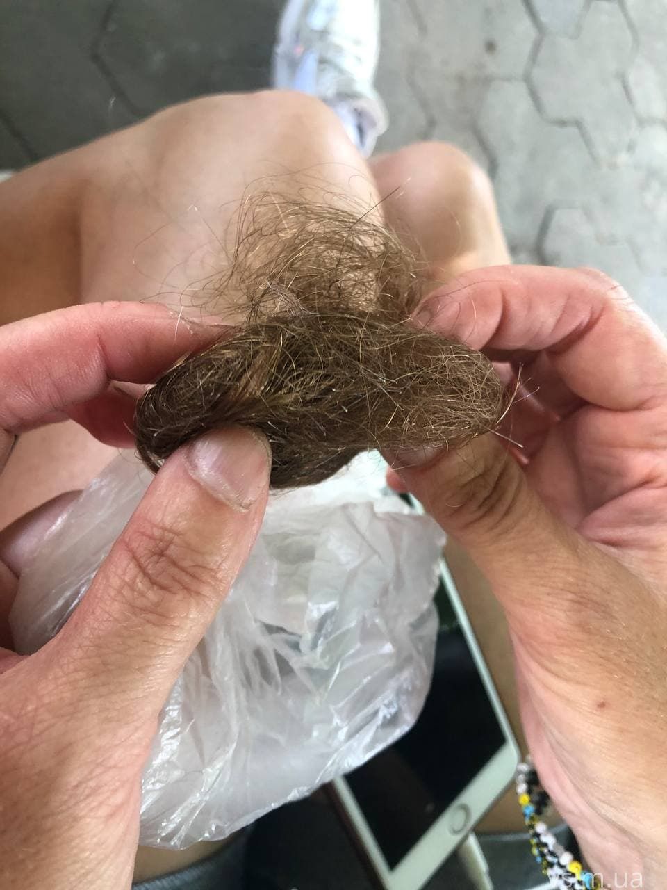 Новини Хмельницького - фото з Жінки на Інститутській побилися за собак. Дві сторони конфлікту