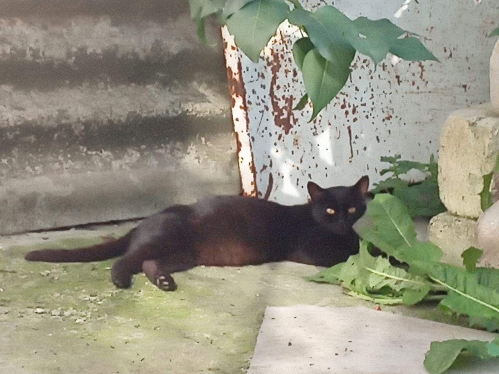 Новини Козятина - фото з «Ледь не плакали від радості»
