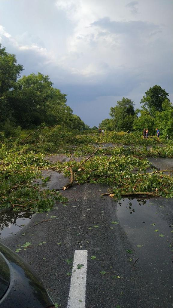 Новини Тернополя - фото з Зірвані дахи та повалені дерева: негода наробила біди на Тернопільщині (ФОТО. ВІДЕО)