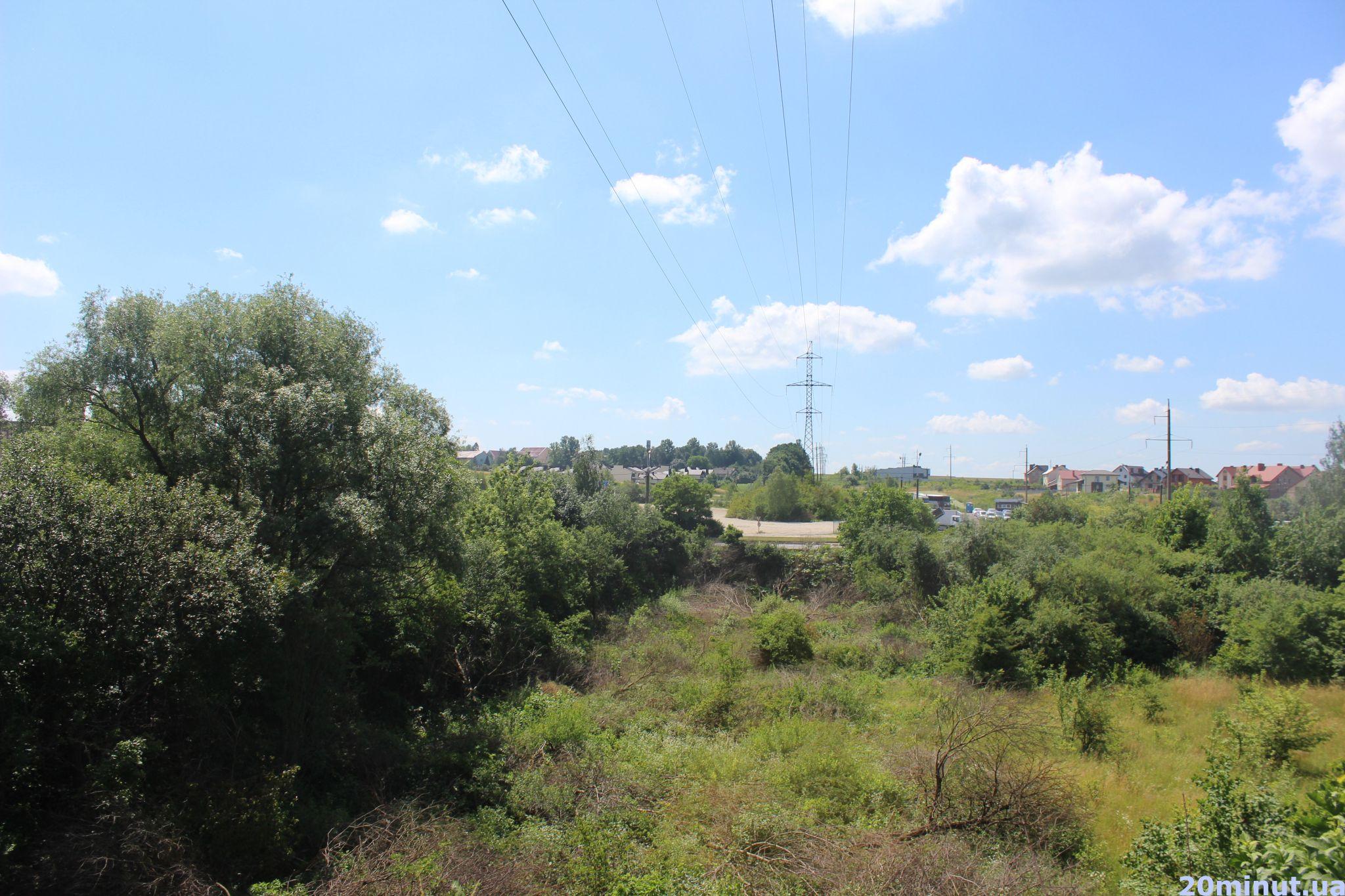 Новини Тернополя - фото з Хто відповість за знищені насадження на Бережанській. Що там роблять та яка користь місту? (ВІДЕО)