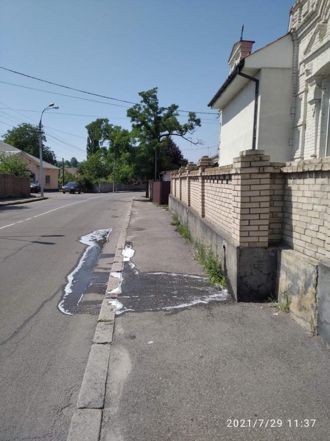 Новини Вінниці - фото з Під колеса службового авто Муніципальної варти вінничанин вилив мильну воду