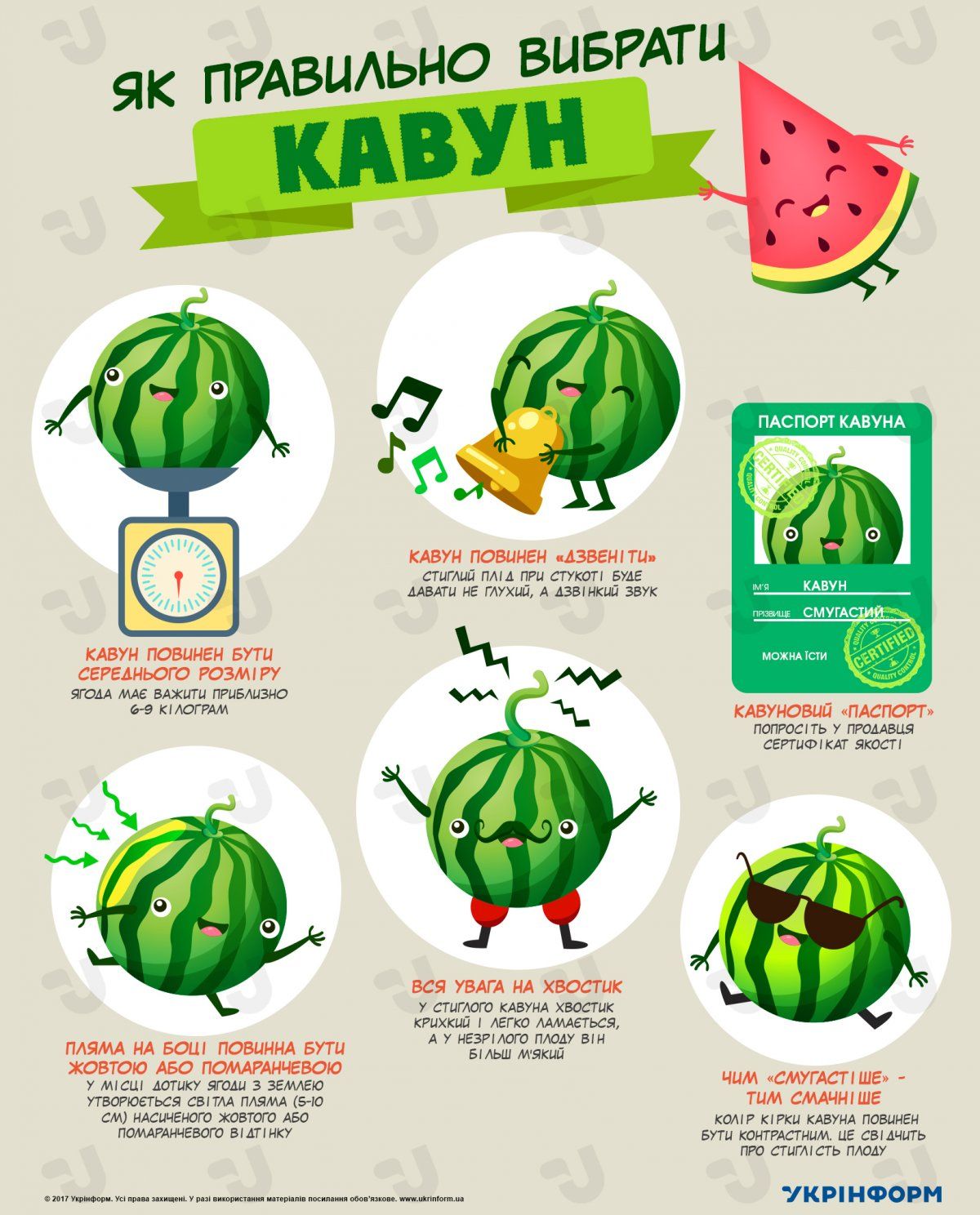 Новини Житомира - фото з Як вибрати стиглий та смачний кавун
