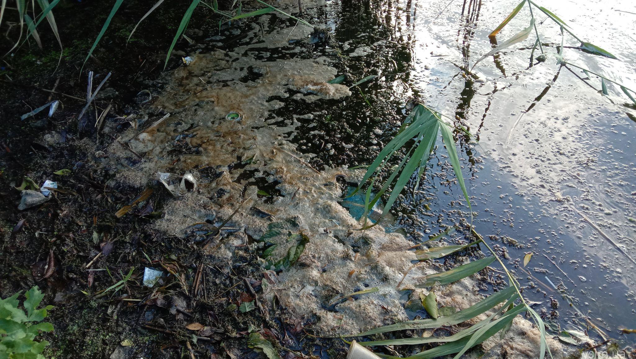 Новини Хмельницького - фото з Мертва риба у Південному Бузі: що кажуть чиновник та еколог