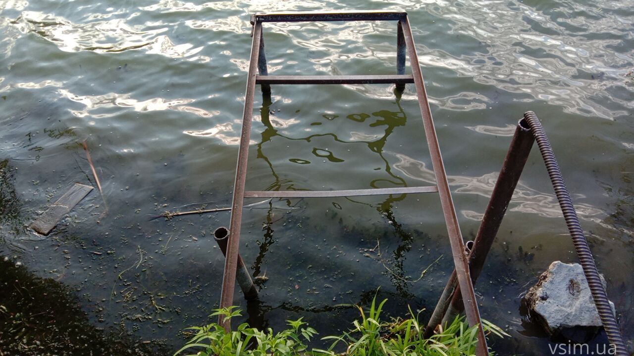 Новини Хмельницького - фото з Мертва риба у Південному Бузі: що кажуть чиновник та еколог