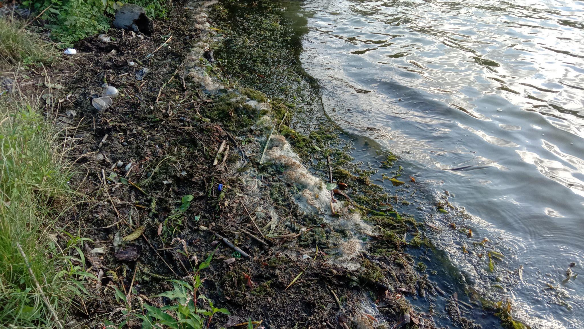 Новини Хмельницького - фото з Мертва риба у Південному Бузі: що кажуть чиновник та еколог