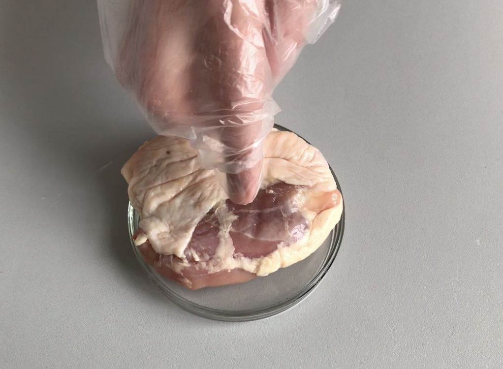 Новини Вінниці - фото з Без крововиливів і поламаних кісток: ми дізналися у фахівців, як має виглядати якісна курятина