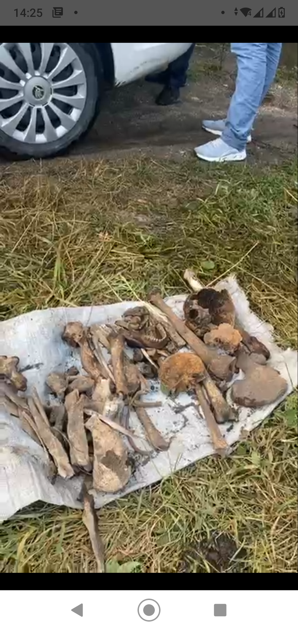 Немає опису.