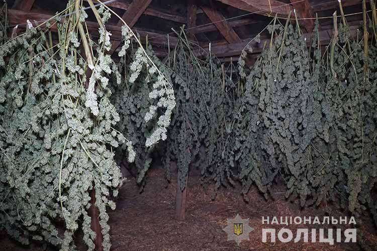 Новини Тернополя - фото з Товару на 3,5 млн грн: викрили групу наркоторговців. Серед них організатор, який 18 років провів за гратами (ФОТО)