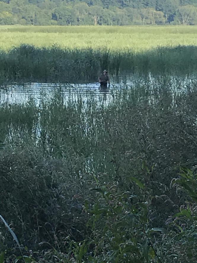 Новини Хмельницького - фото з Сезон полювання на Хмельниччині: скільки порушників спіймали за вихідні Фото - Екологічна інспекція