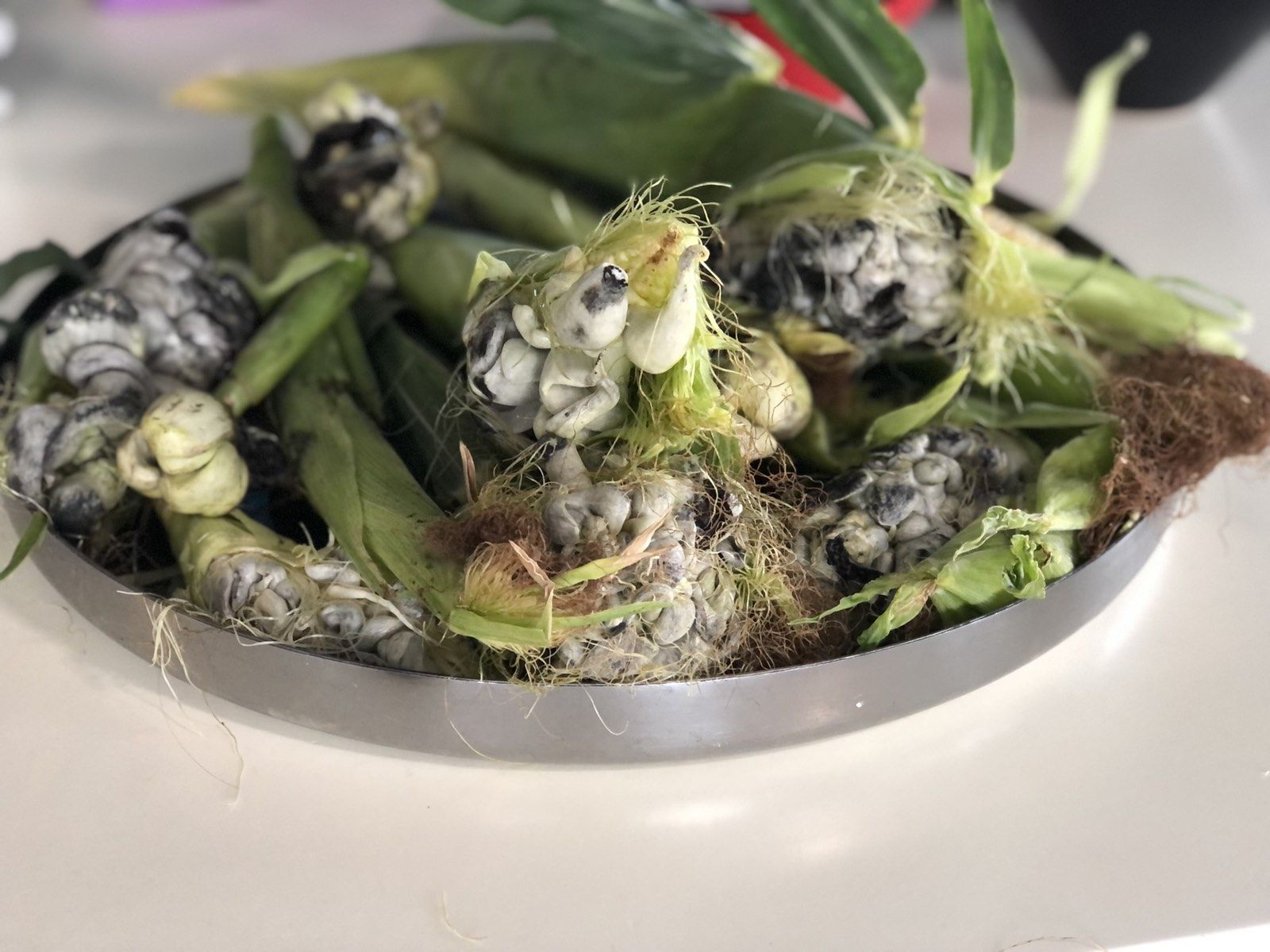 Новини Вінниці - фото з «Я з’їв дві тарілки…» Таку страву не готують у жодному ресторані Вінниці, поки що…