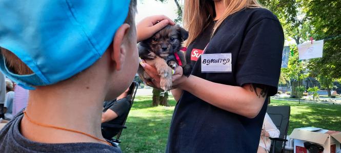 Новини Вінниці - фото з «Якщо вам потрібен вірний друг — приходьте!» Як вінничани обирали собі тварин на ярмарку