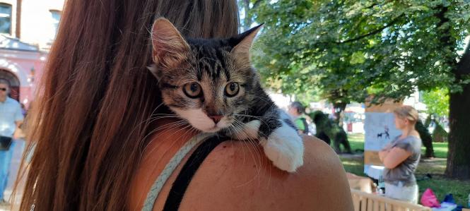 Новини Вінниці - фото з «Якщо вам потрібен вірний друг — приходьте!» Як вінничани обирали собі тварин на ярмарку