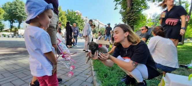 Новини Вінниці - фото з «Якщо вам потрібен вірний друг — приходьте!» Як вінничани обирали собі тварин на ярмарку
