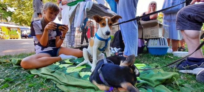 Новини Вінниці - фото з «Якщо вам потрібен вірний друг — приходьте!» Як вінничани обирали собі тварин на ярмарку