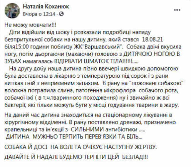 Новини Хмельницького - фото з На Хмельниччині безпритульний собака вкусив дитину. Хлопчик в лікарні