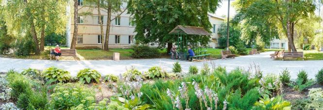 На зображенні може бути: дерево та на відкритому повітрі