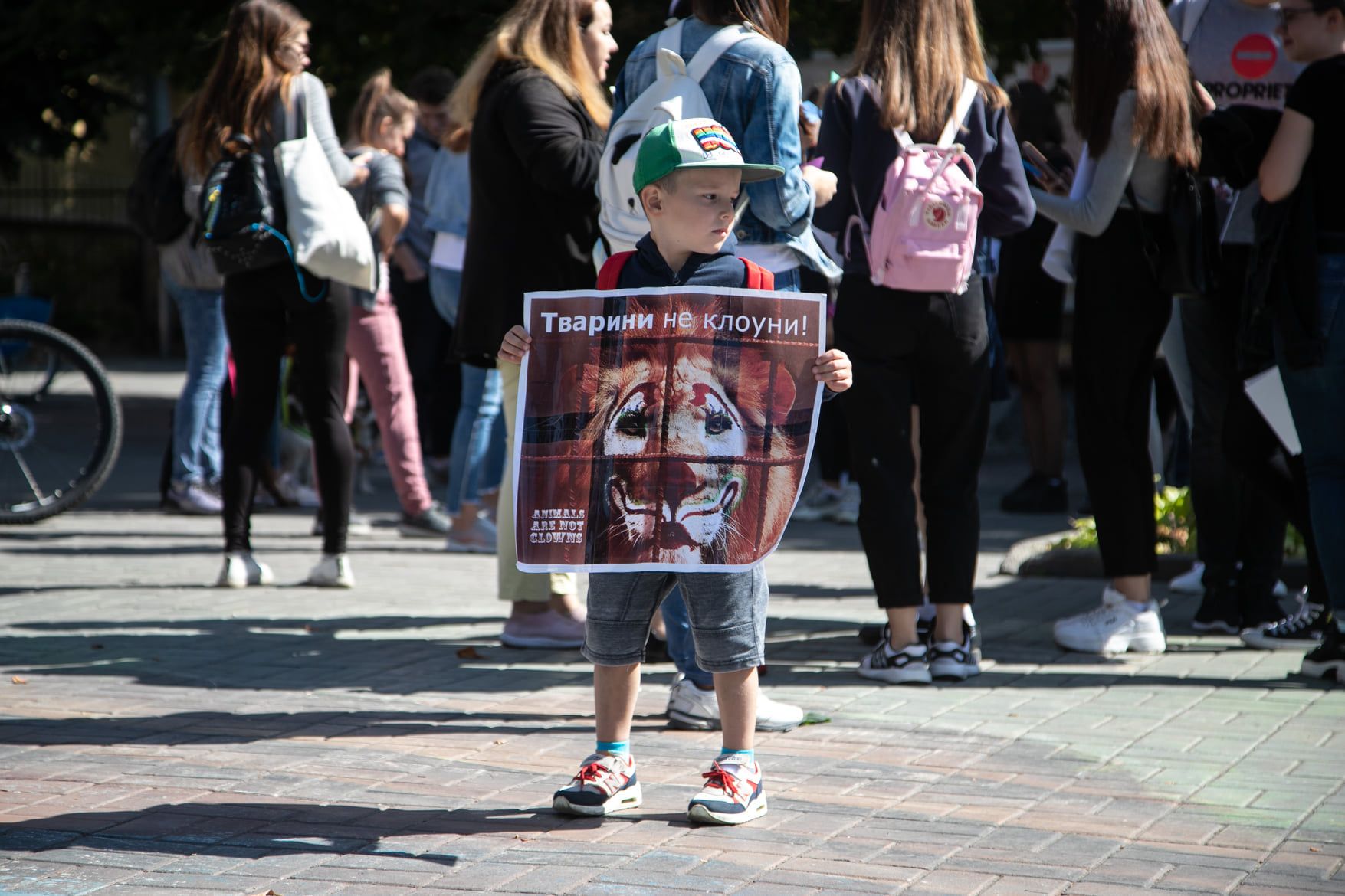 Новини Вінниці - фото з Захист слабких — справа сильних. Як у Вінниці минув марш за права тварин?