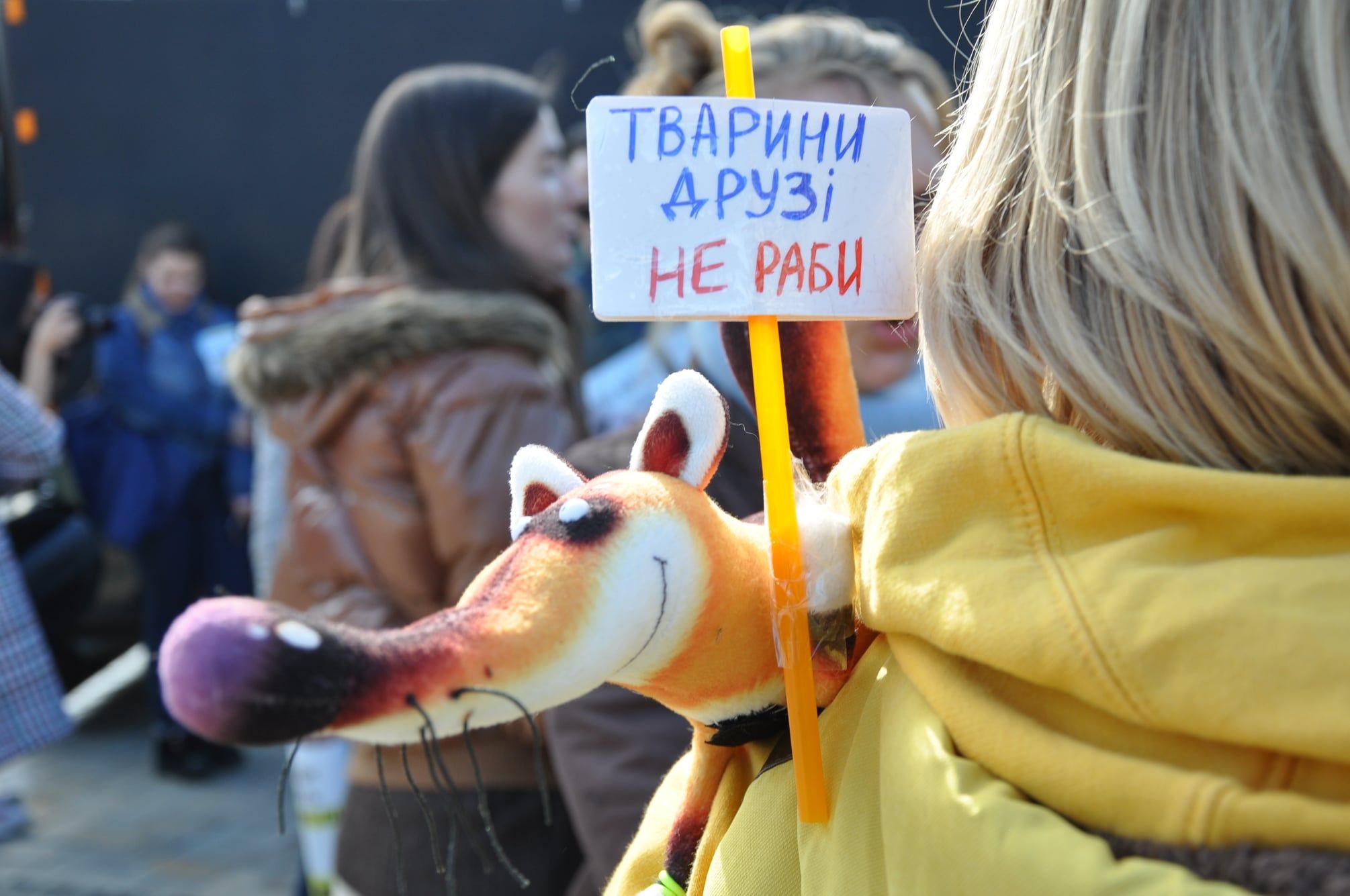 Новини Вінниці - фото з Захист слабких — справа сильних. Як у Вінниці минув марш за права тварин?