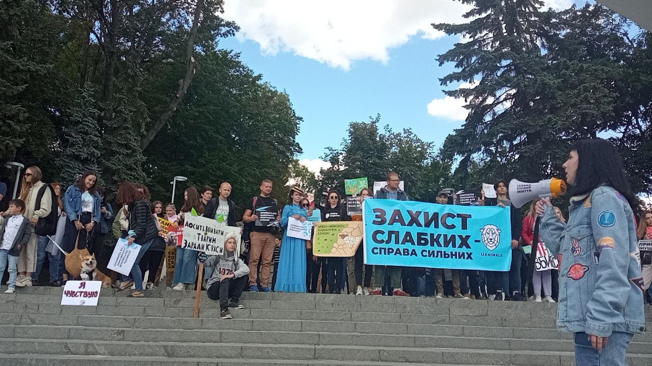 Новини Вінниці - фото з Захист слабких — справа сильних. Як у Вінниці минув марш за права тварин?
