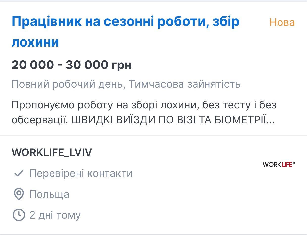 Новини Тернополя - фото з Найпопулярніші сезонні роботи за кордоном. Ми зібрали умови в ТОП країнах