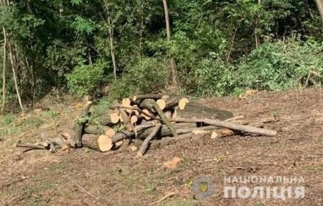 Новини Вінниці - фото з Попався двічі за тиждень. На Вінниччині викрили «чорного лісоруба»