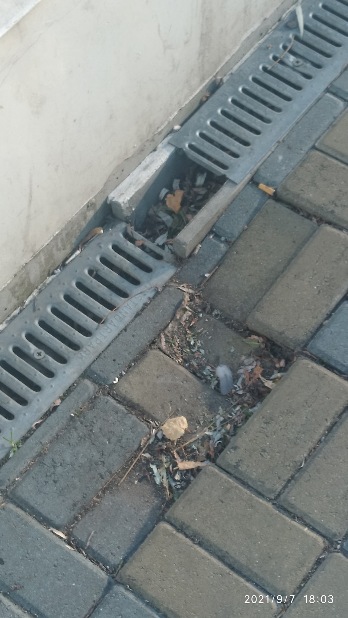 На зображенні може бути: на відкритому повітрі