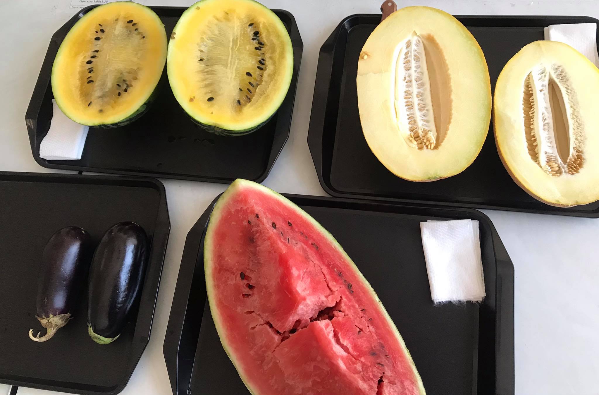 Новини Вінниці - фото з Нітрати перевищують норму в рази, що робити? Ми перевірили осінні овочі, кавуни та дині