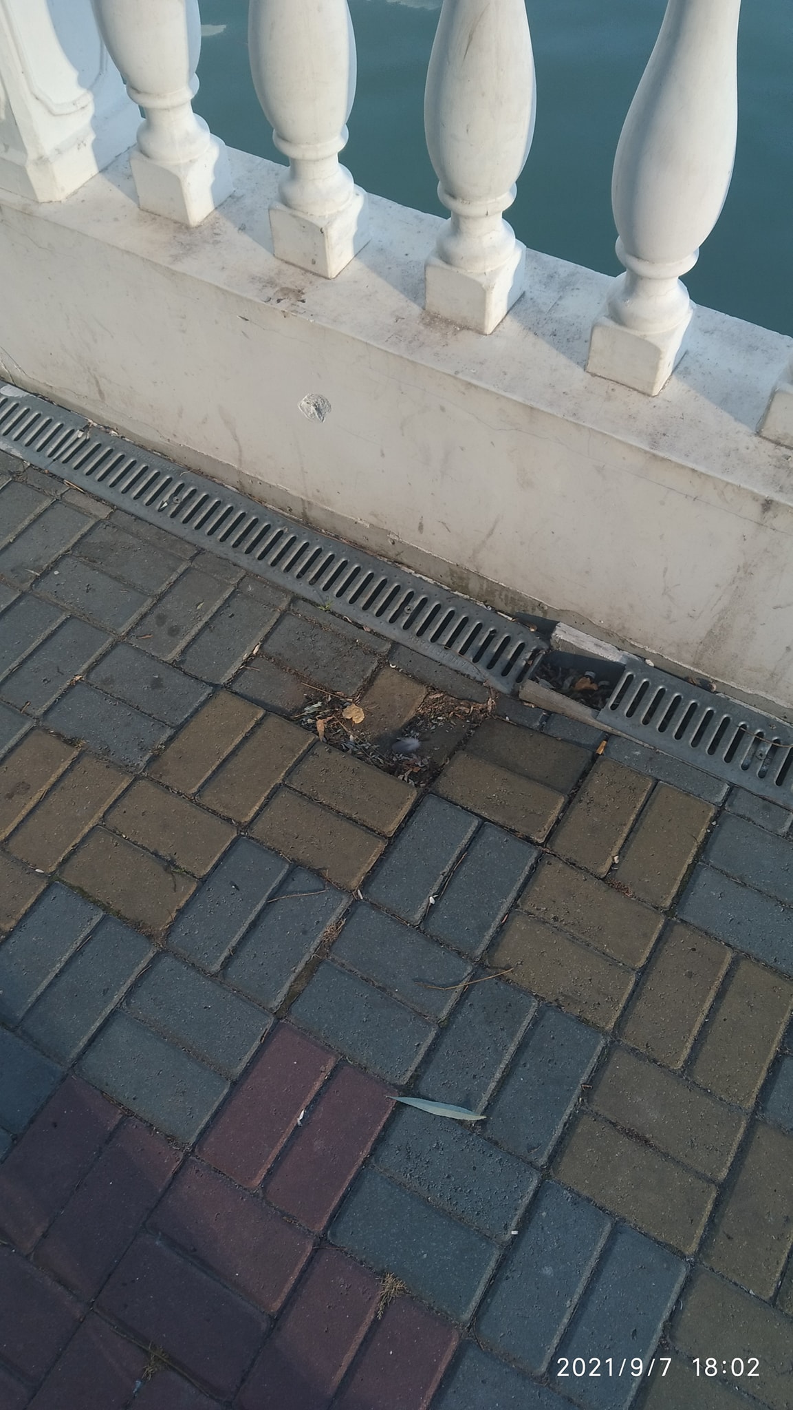 На зображенні може бути: на відкритому повітрі