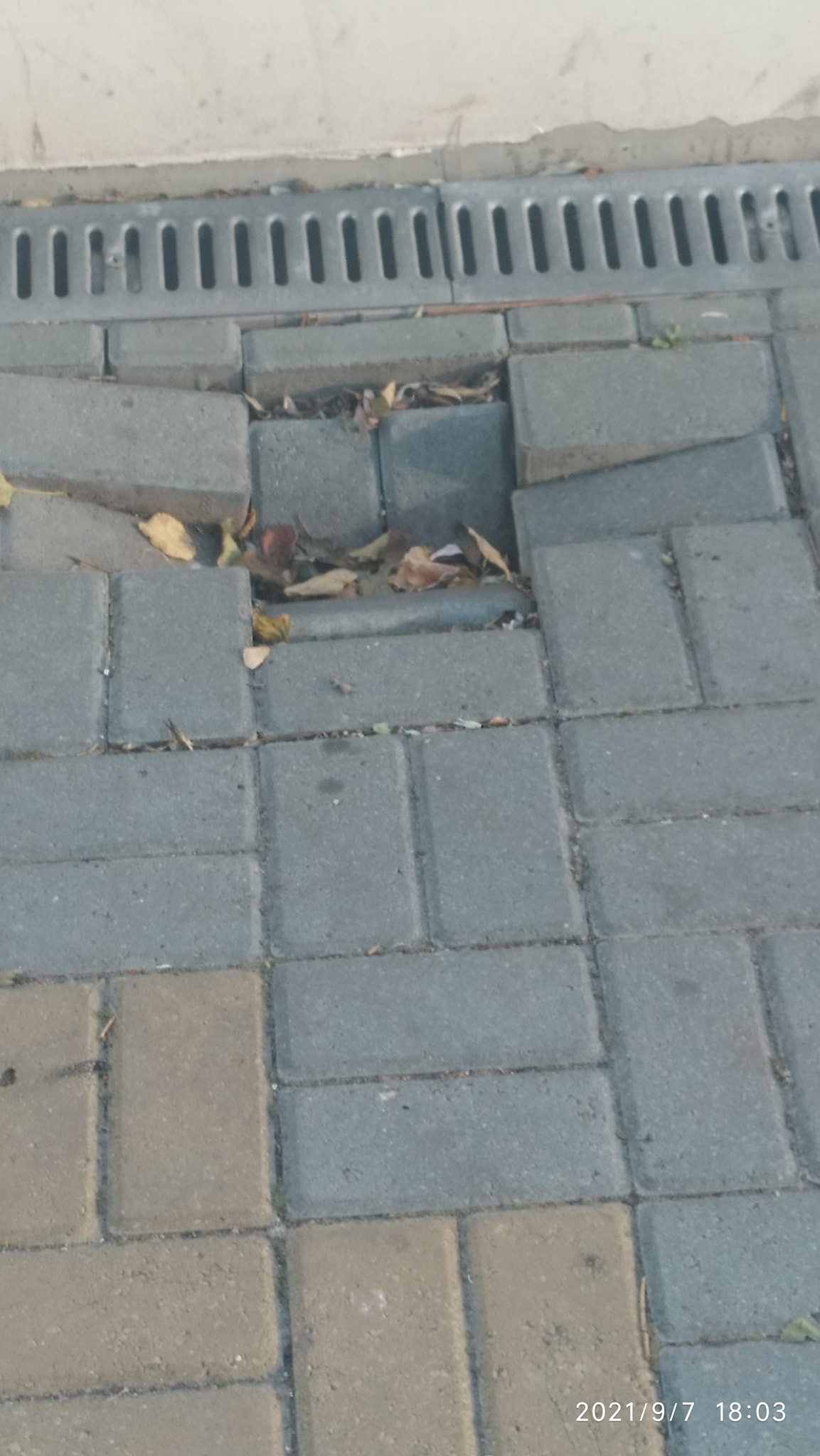 На зображенні може бути: на відкритому повітрі