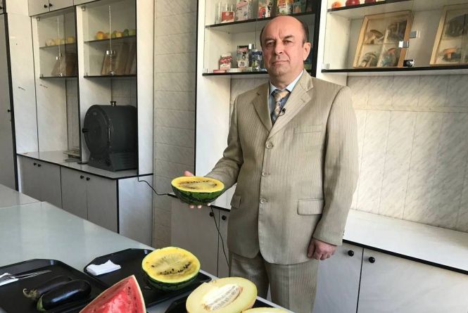 Нітрати перевищують норму в рази, що робити? Ми перевірили осінні овочі, кавуни та дині