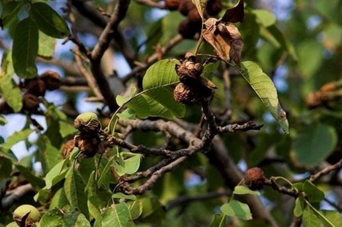 Новини Вінниці - фото з Безпека на дорозі, закриття «наливайок» та діти без поля. Огляд петицій тижня