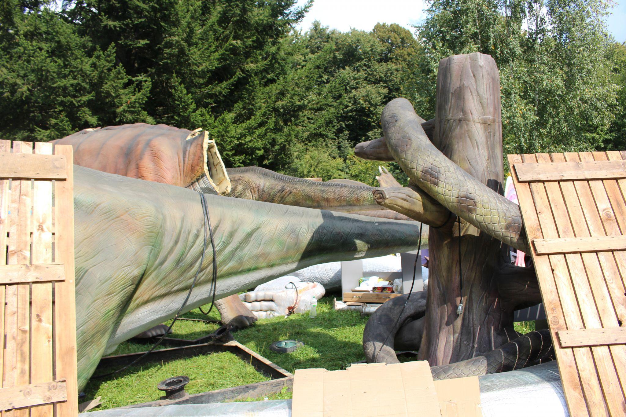 Новини Хмельницького - фото з У Хмельницькому з'явиться парк динозаврів. Що відомо (ФОТО)