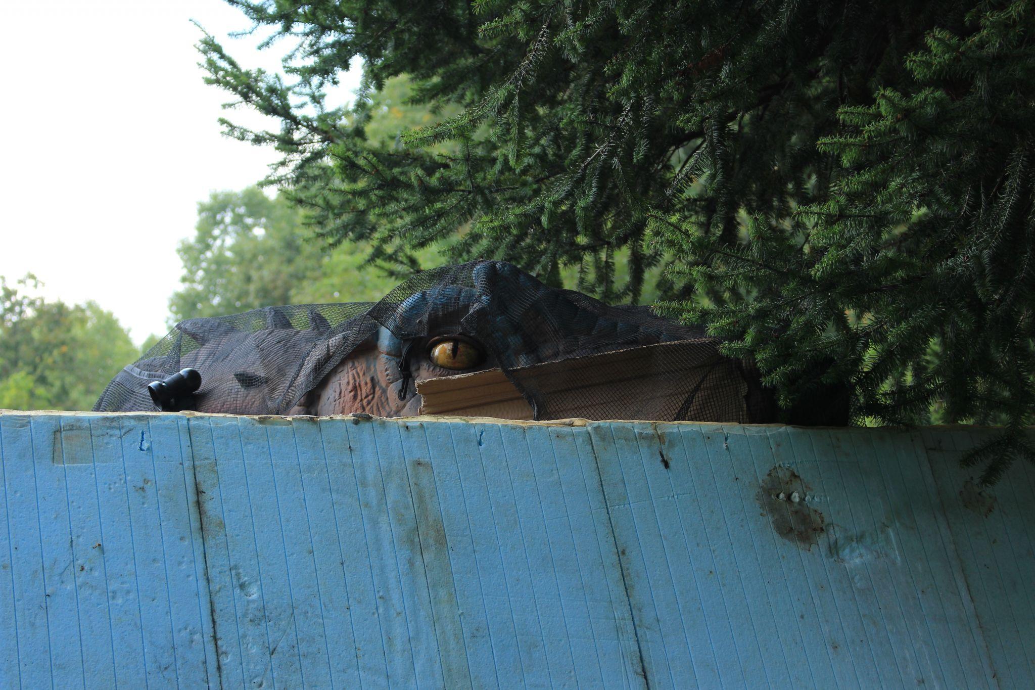 Новини Хмельницького - фото з У Хмельницькому з'явиться парк динозаврів. Що відомо (ФОТО)