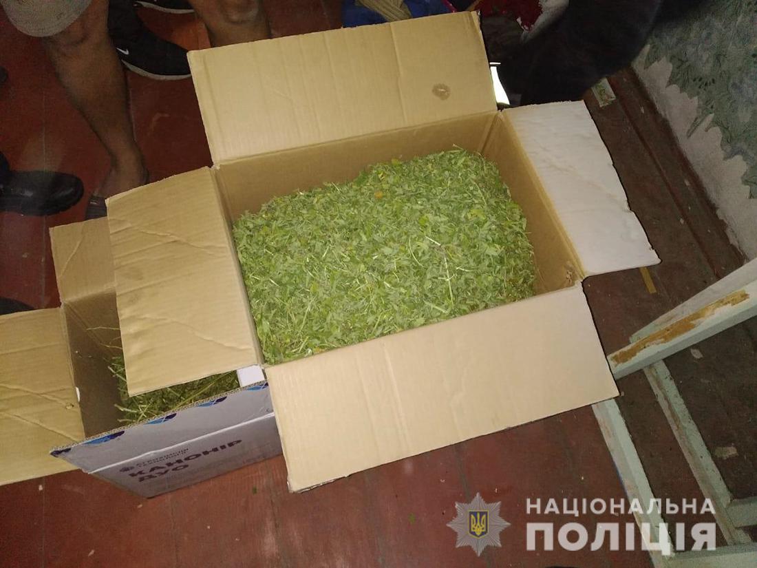 Новини Житомира - фото з На Житомирщині чоловік виростив наркозілля на пів мільйона гривень