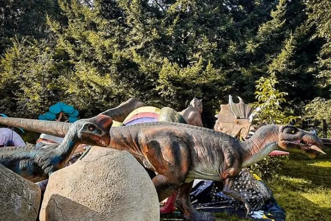 Новини Хмельницького - фото з Програма на День міста , динопарк і новий сквер: топ-5 новин на ВСІМ за 15 вересня