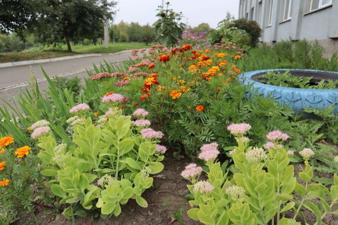 Новини Хмельницького - фото з Кращий благоустрій у Хмельницькому: хто переміг (ФОТО)