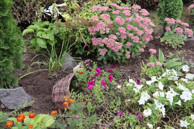 Новини Хмельницького - фото з Кращий благоустрій у Хмельницькому: хто переміг (ФОТО)