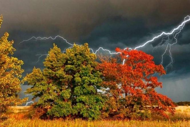 В Укргідрометцентрі попередили про сильні грози. Вінниччину не омине