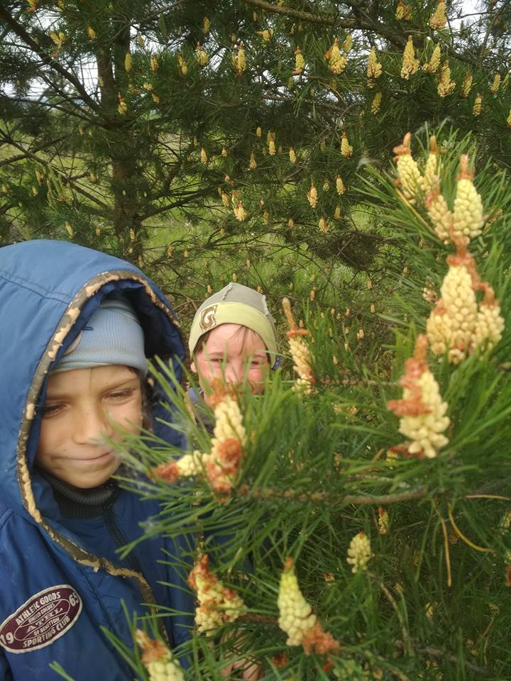 Новини Вінниці - фото з «Проміняв життя у місті на чисте поле». Як сім’я вінничан власноруч створила родове поселення
