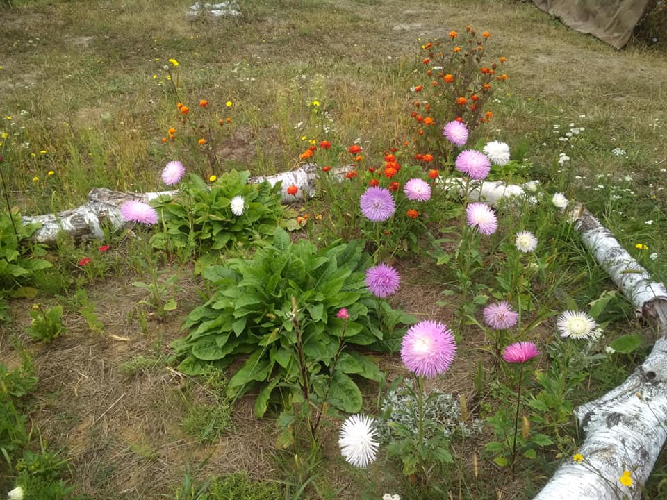 Новини Вінниці - фото з «Проміняв життя у місті на чисте поле». Як сім’я вінничан власноруч створила родове поселення